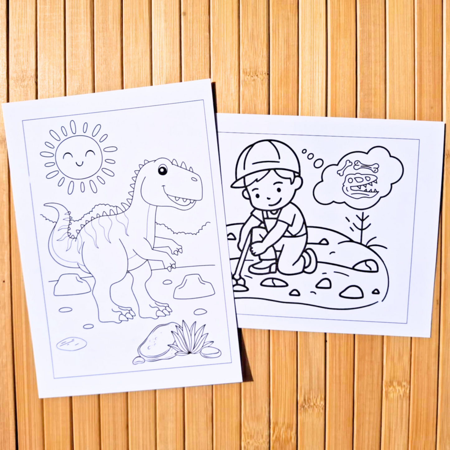 Digital Download - Dinosaur Resources