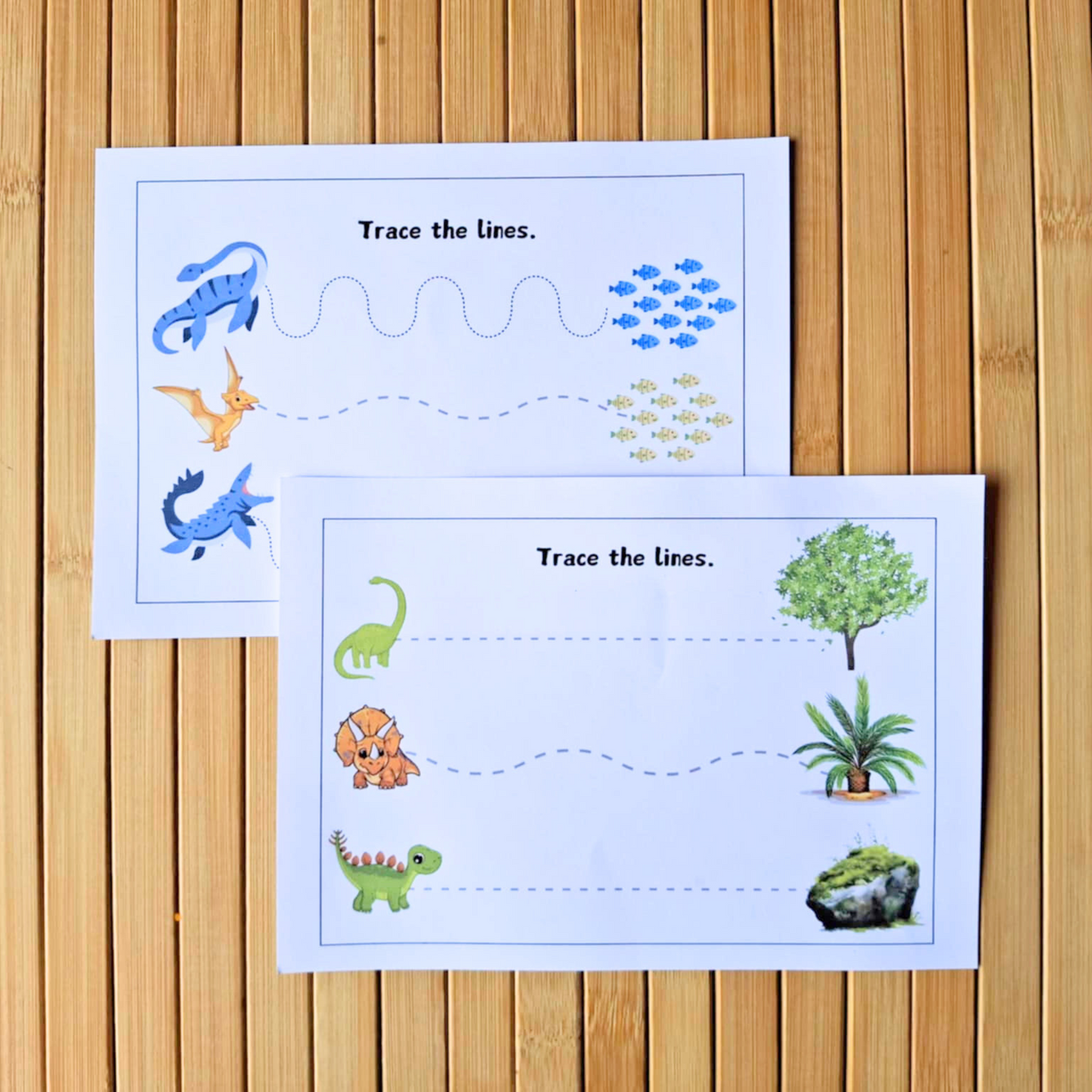 Digital Download - Dinosaur Resources