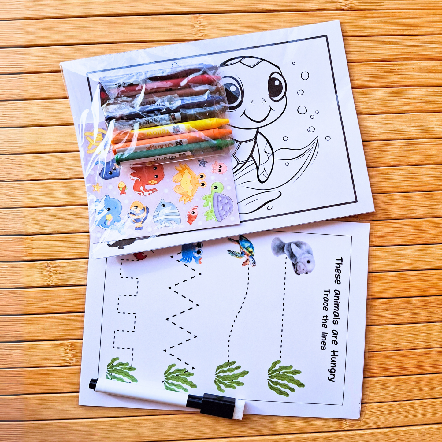 Under the Sea Ocean Sensory Toy Package